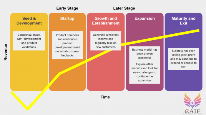 Cycle life business stages graph start projections sales