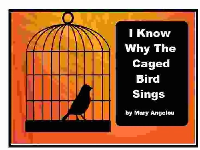 Caged bird sings why know angelou maya quote quotes wallpaper