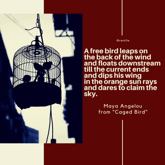 Quotes from i know why the caged bird sings