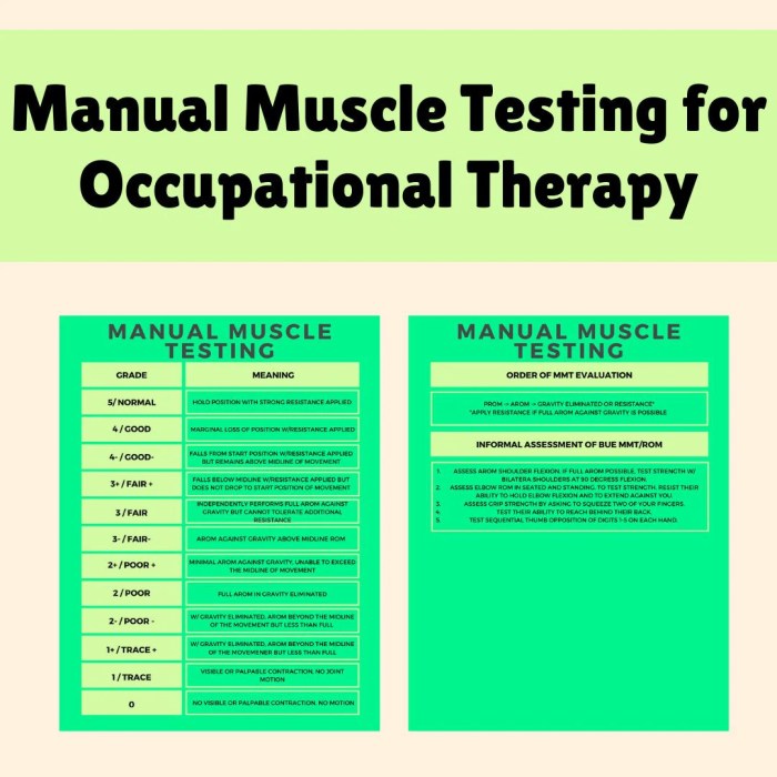 Occupational therapist otr nbcot