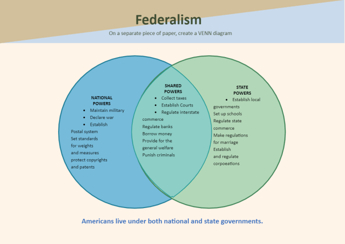 Federalist vs anti federalist cartoon