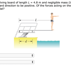 A diver of weight 580 n stands