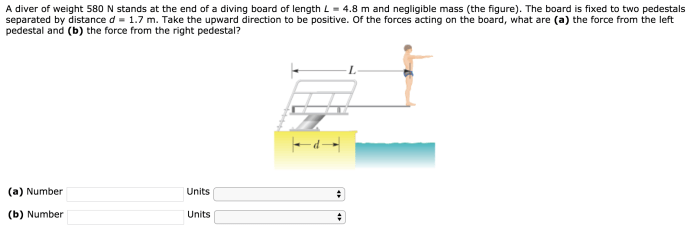 A diver of weight 580 n stands