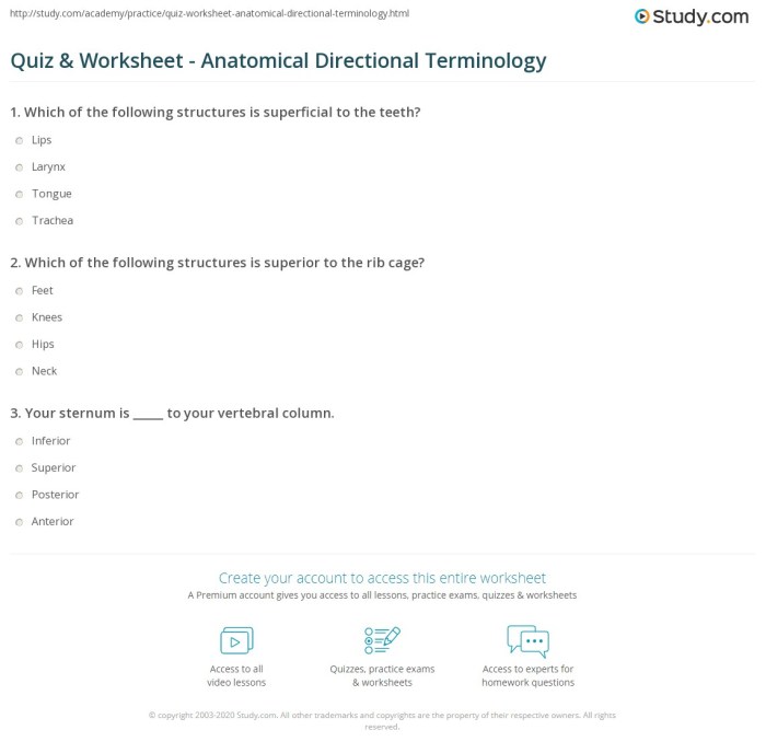 Anatomy directional terms quiz pdf