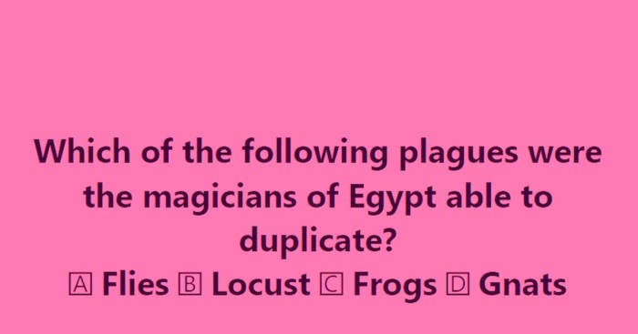 How did pharaoh's magicians duplicate the plagues