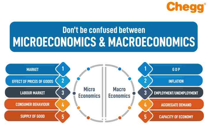 Which question is an illustration of a macroeconomic question