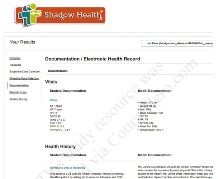 Shadow health hair skin and nails assessment pdf