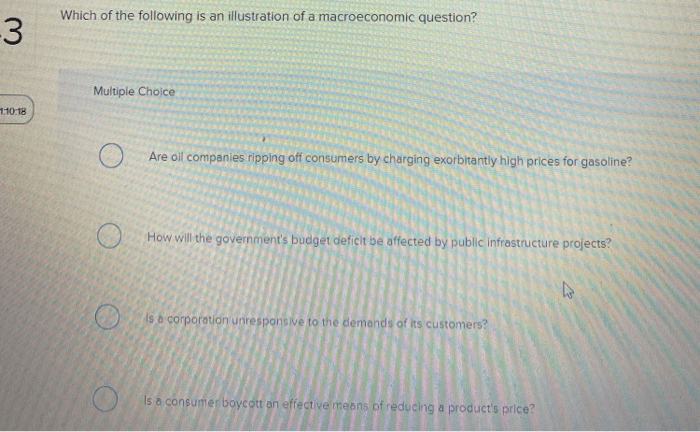 Which question is an illustration of a macroeconomic question